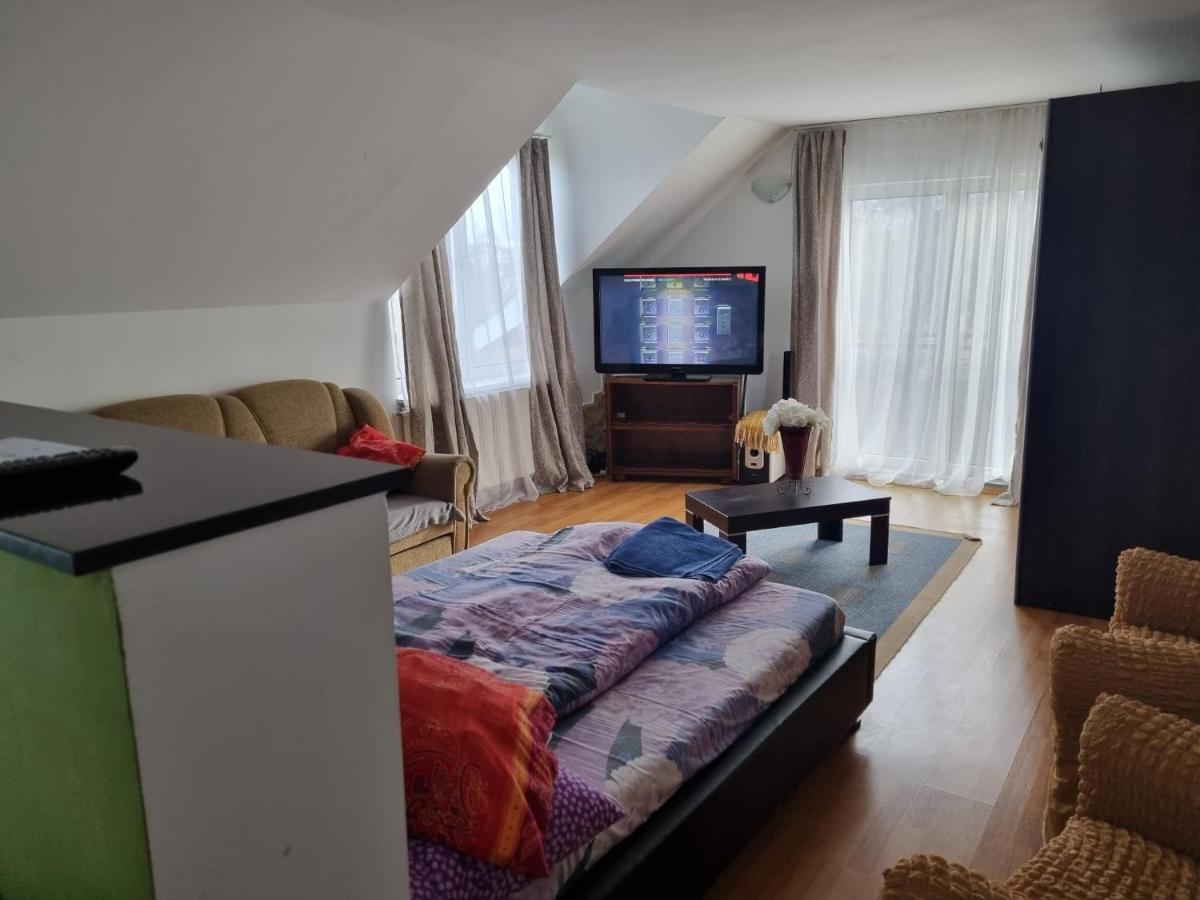 Penthouse Apartament 2 Floors, 2 Bedroom , 2 Bath, 120 Sqm , Inside Yard Parking Kluż-Napoka Zewnętrze zdjęcie
