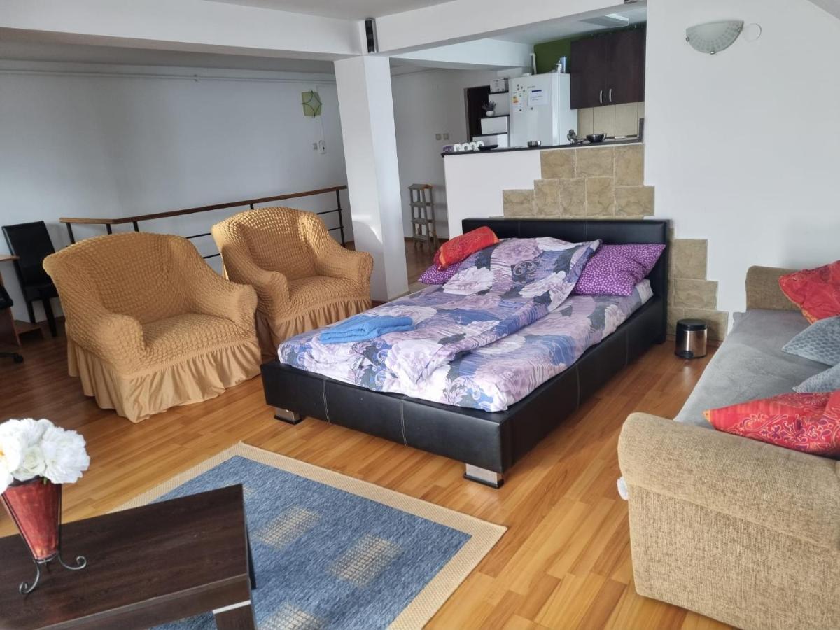 Penthouse Apartament 2 Floors, 2 Bedroom , 2 Bath, 120 Sqm , Inside Yard Parking Kluż-Napoka Zewnętrze zdjęcie
