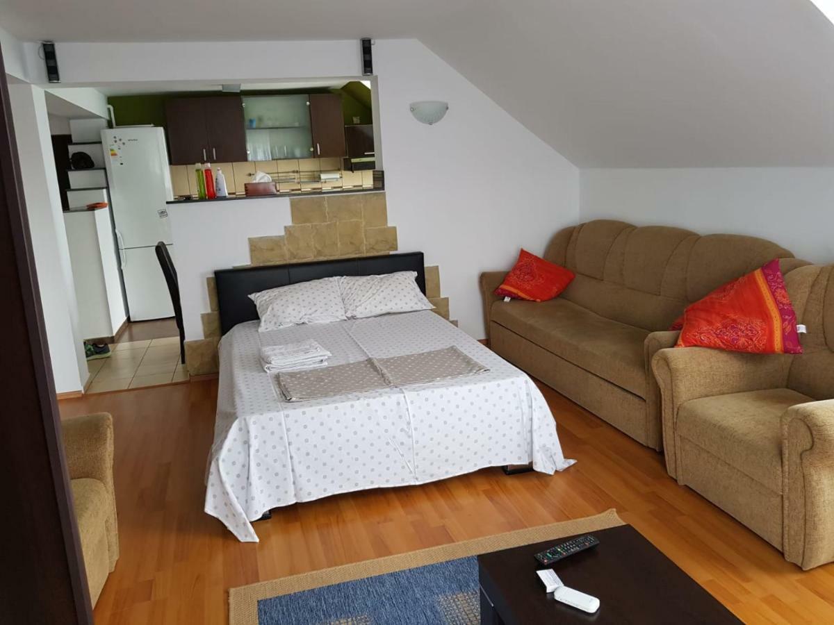 Penthouse Apartament 2 Floors, 2 Bedroom , 2 Bath, 120 Sqm , Inside Yard Parking Kluż-Napoka Zewnętrze zdjęcie